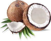 Island Coconut Milk Body Wash  - VEGAN