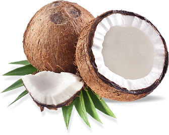 Island Coconut Milk Body Wash  - VEGAN